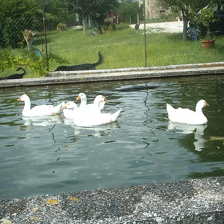 ファームステイ Agriturismo Ca Sorci