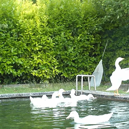 Agriturismo Ca Sorci * ペルゴラ