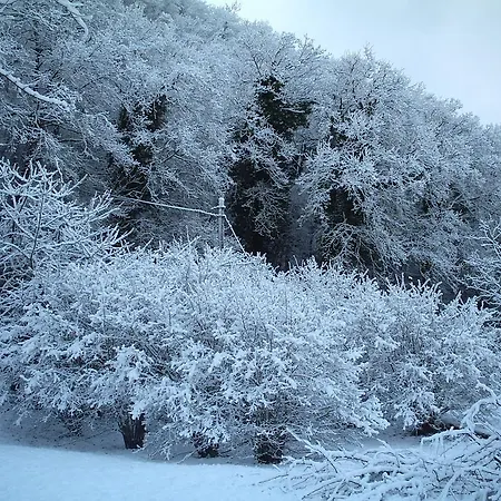 Agriturismo Ca Sorci ファームステイ ペルゴラ