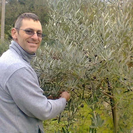 ファームステイ Agriturismo Ca Sorci ペルゴラ