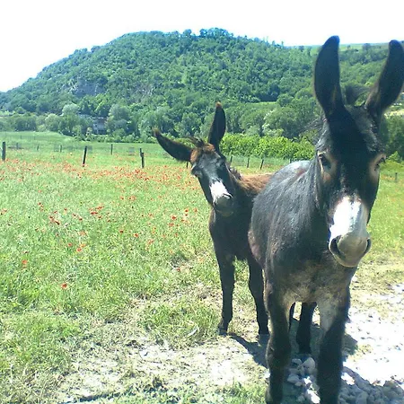 Agriturismo Ca Sorci * ペルゴラ
